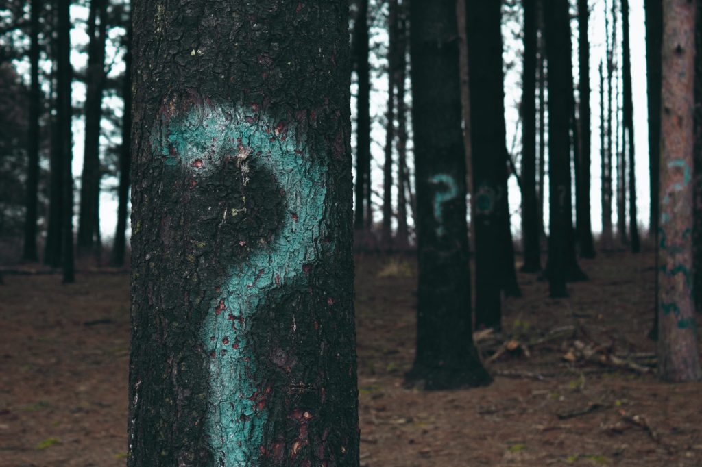 Several forest trees marked with question marks.