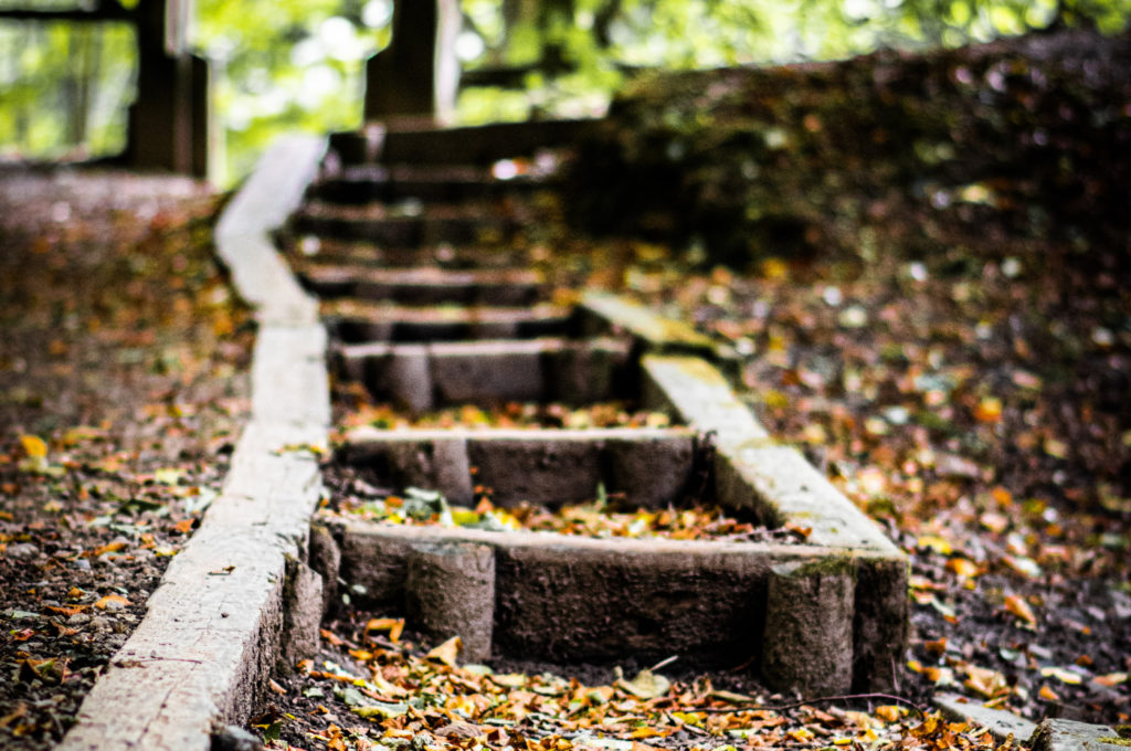 Wooden steps covered in leaves.