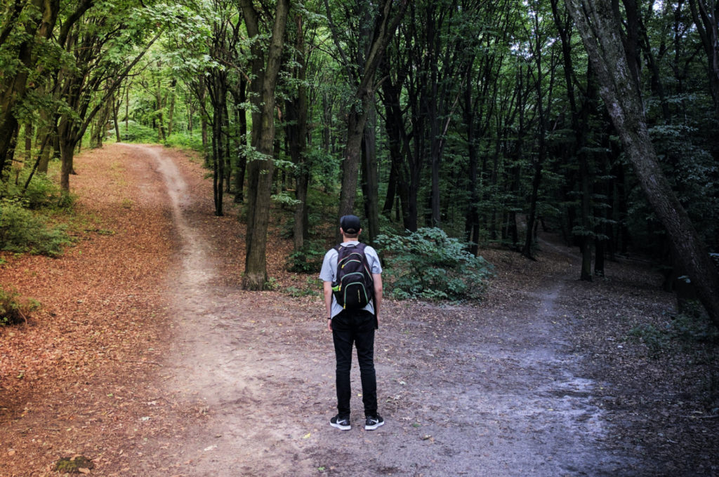 A person standing at a crossroad in a forest.