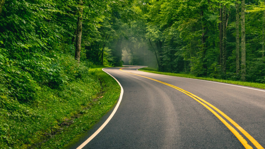 A winding road that leads through the woods.